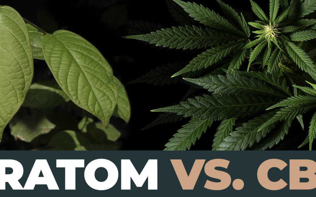 Kratom Vs. CBD: The Rising Popularity Of Natural Remedies